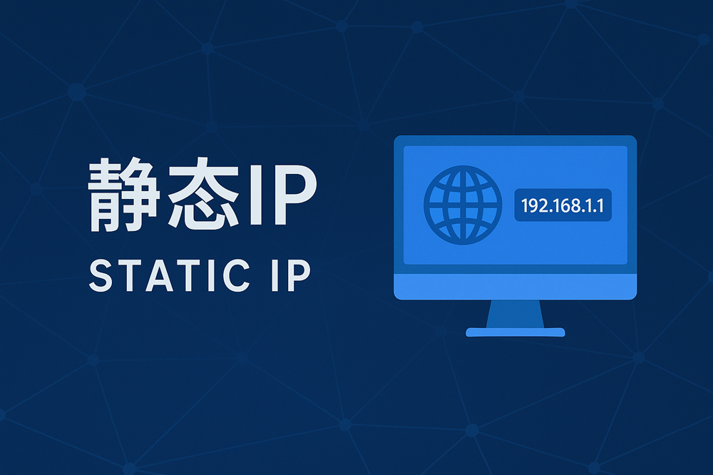 静态代理 IP 的主要应用场景解析